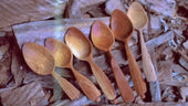 wooden spoon