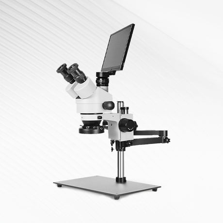 Stereo Microscope