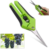 6.5" Stainless Steel Pruning Shears with Straight Elbow, LK-AA57