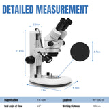 Professional Stereo Microscope,LK-MS04A