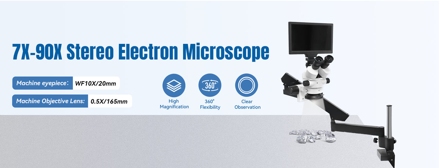 Stereo Microscope