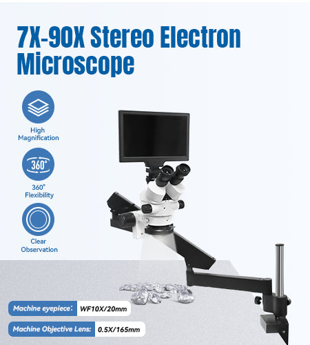 Stereo Microscope