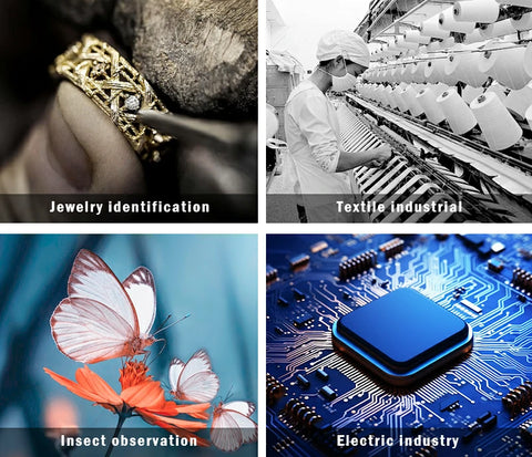 the dissecting microscope LK-MS01A