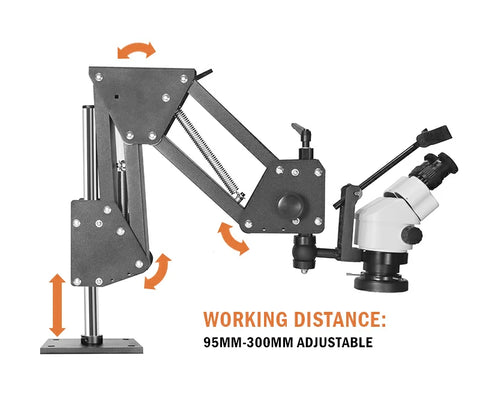 the dissecting microscope LK-MS01A
