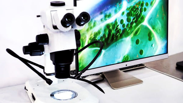 Trinocular stereo microscopes provide the operator with a wider field of view.